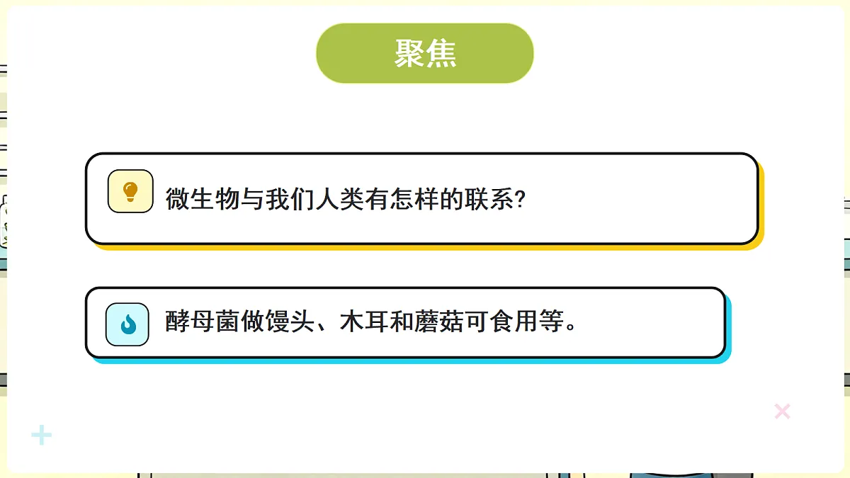18708704第3页
