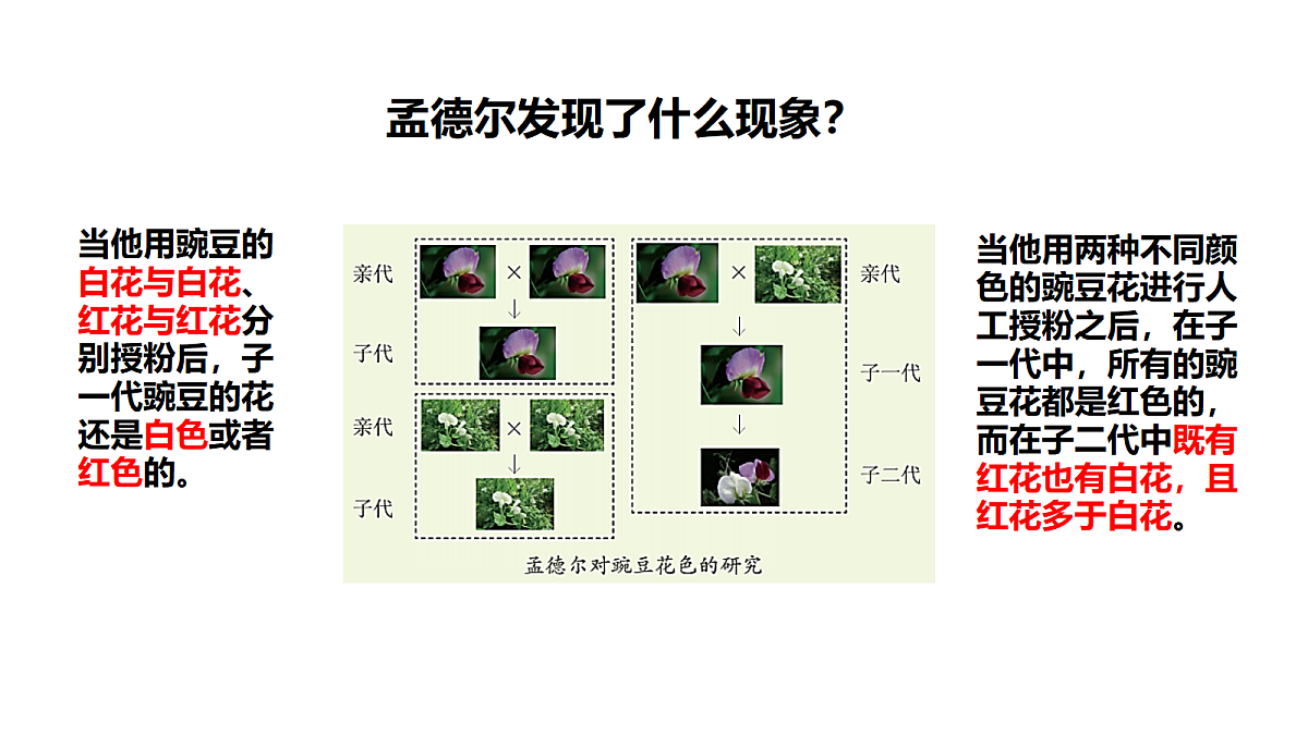 18710595第4页