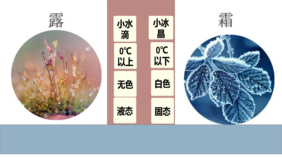 18710601第4页