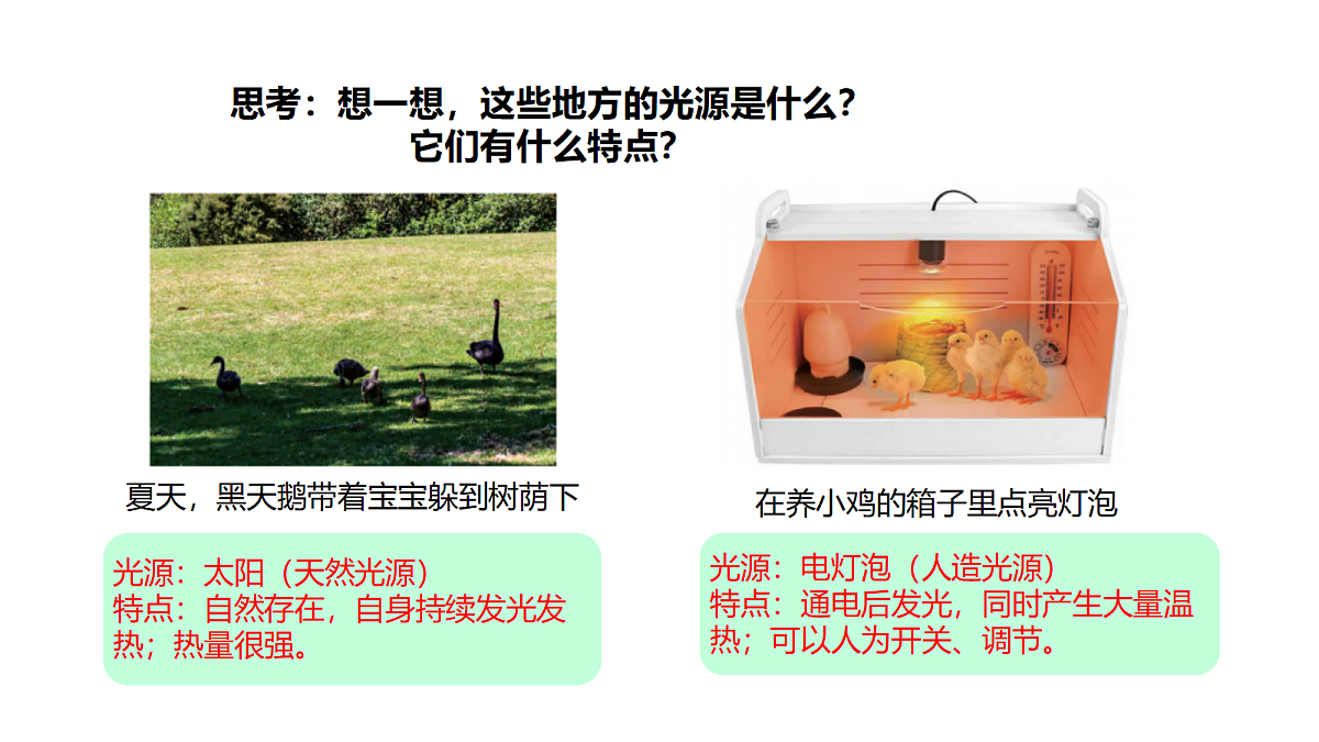 18710636第7页
