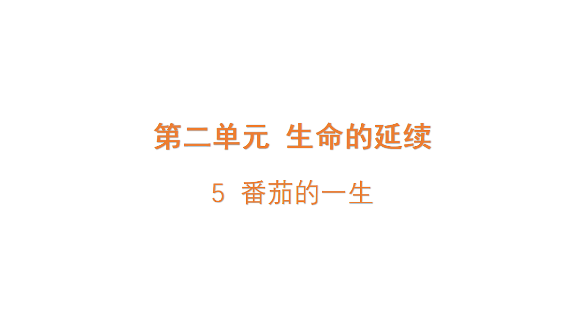 18710904第1页