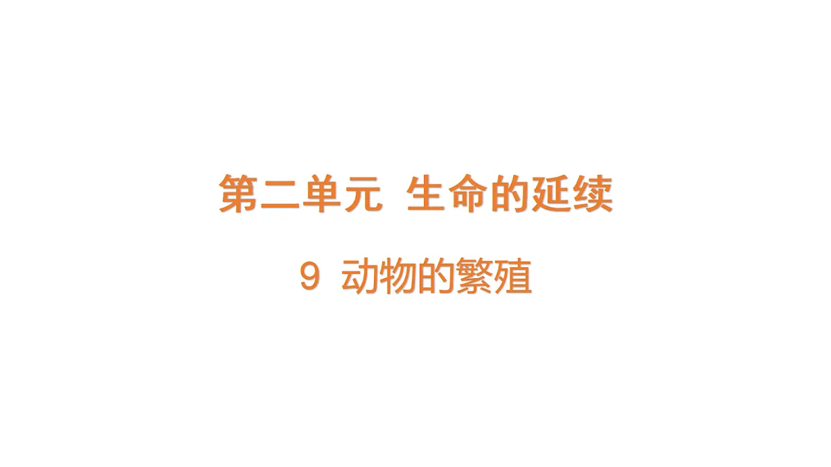 18711246第1页