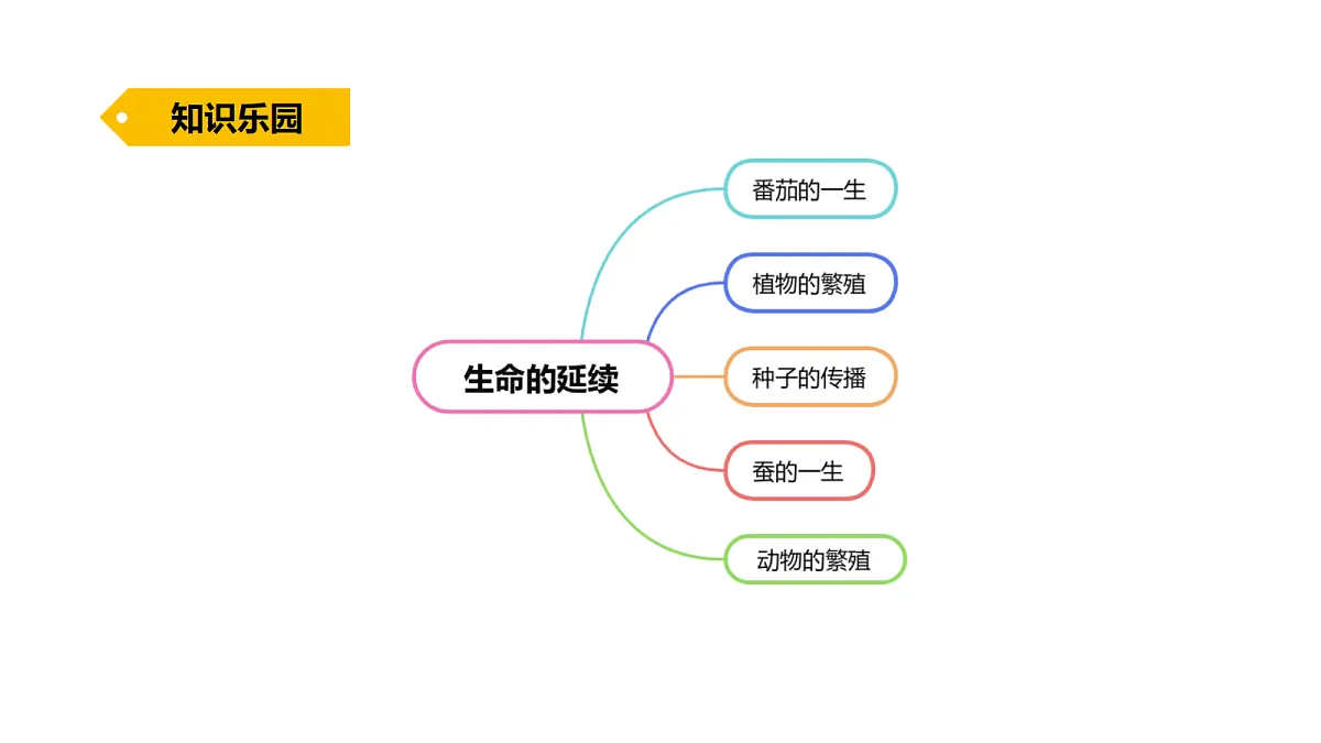 18711666第2页