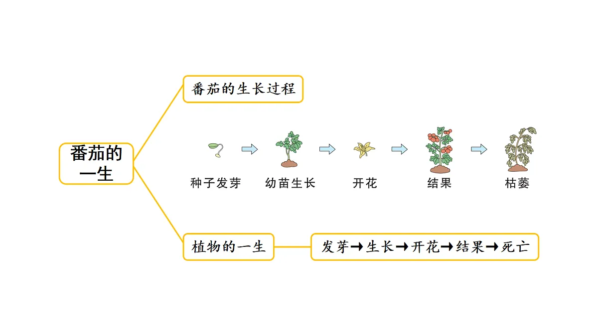 18711666第3页