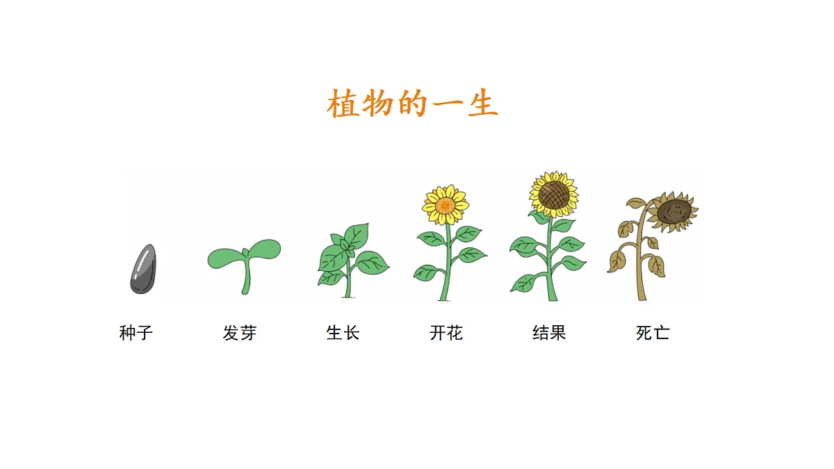 18711666第4页