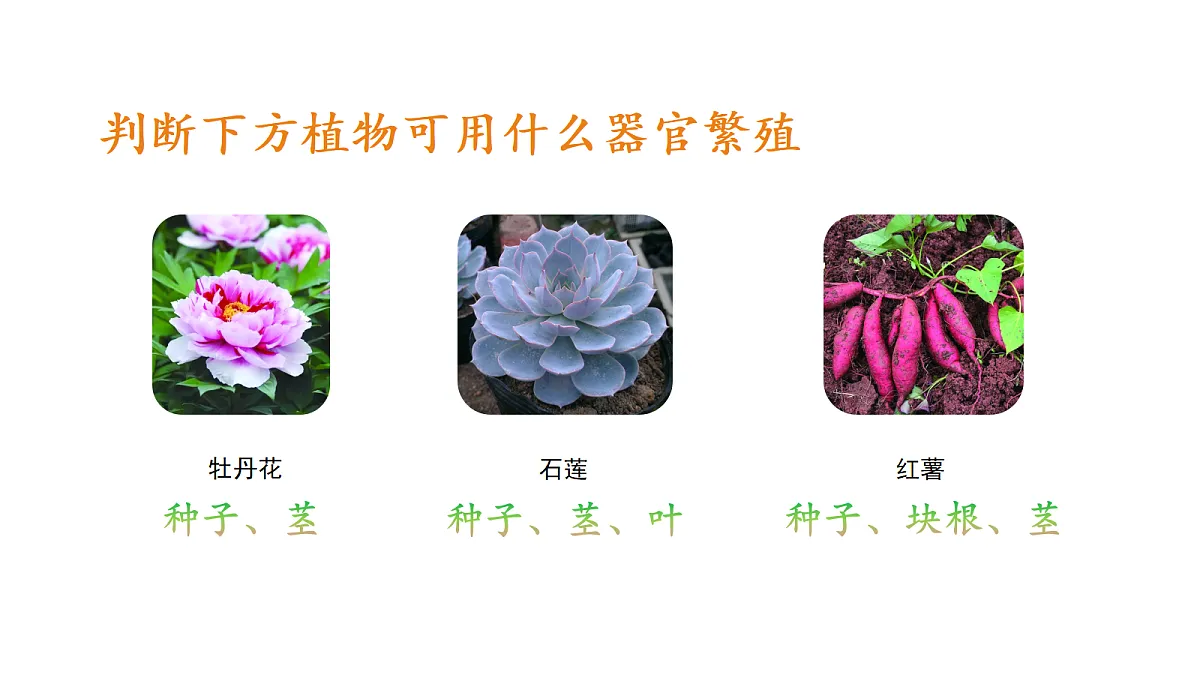 18711666第6页