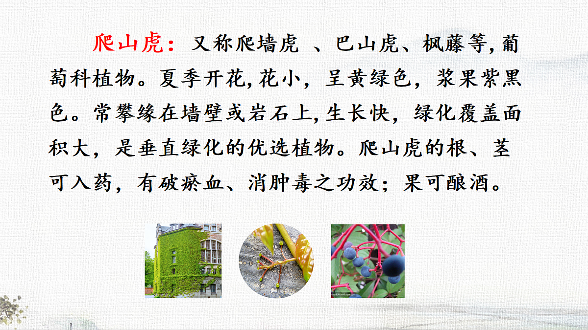 18714863第4页