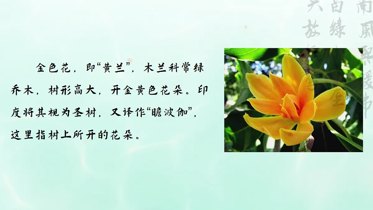由言及意,由文悟情——部级精品课《散文诗二首金色花等》赏析第5页