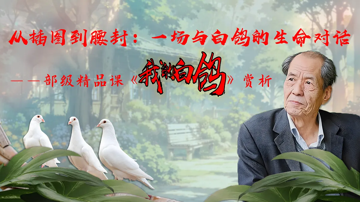 从插图到腰封:一场与白鸽的生命对话——部级精品课《我的白鸽》赏析第4页