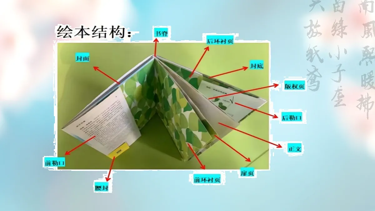 从插图到腰封:一场与白鸽的生命对话——部级精品课《我的白鸽》赏析第6页