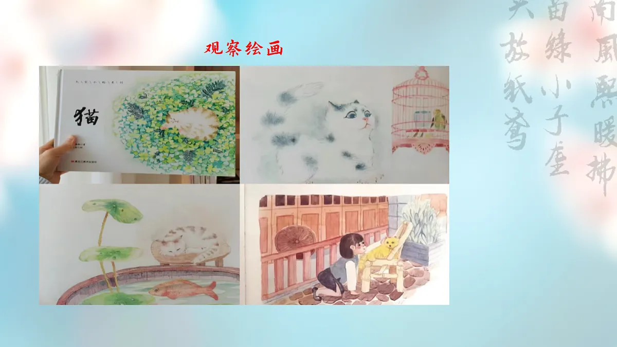 从插图到腰封:一场与白鸽的生命对话——部级精品课《我的白鸽》赏析第7页