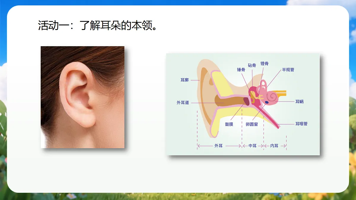 2.5 《听一听》(教学课件)青岛版(五四制)科学一上第5页