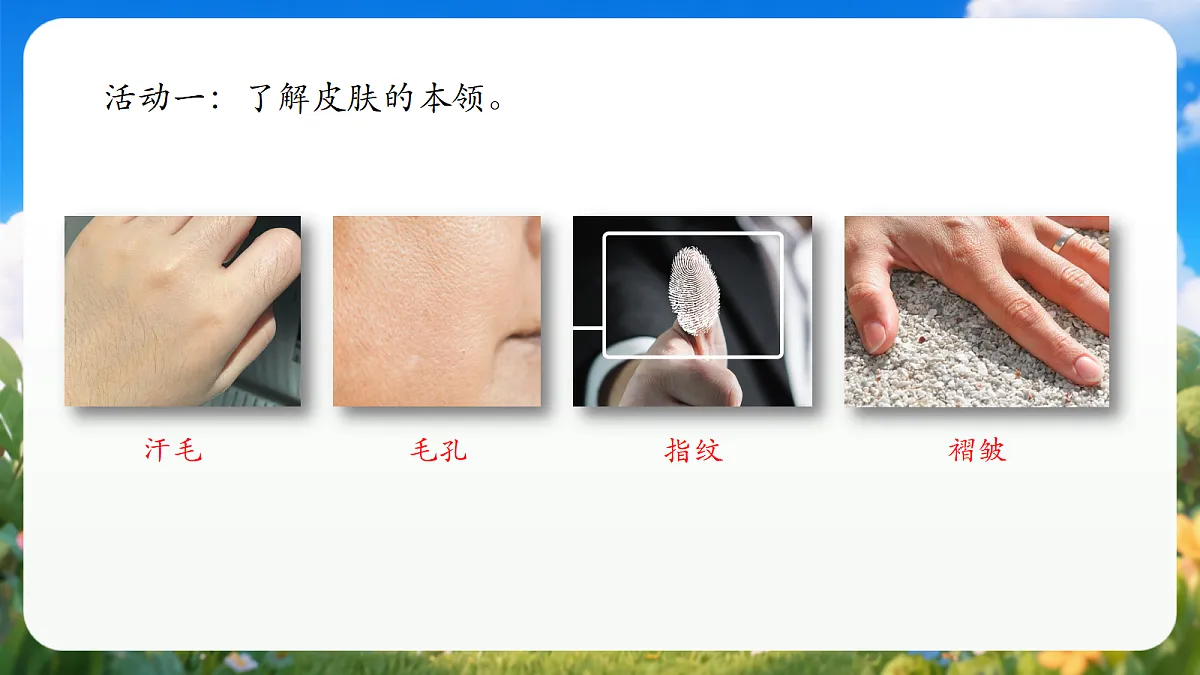 2.6 《摸一摸》(教学课件)青岛版(五四制)科学一上第5页