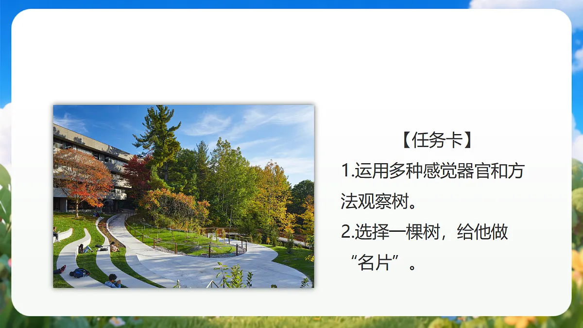 2.9 《给树做”名片“》(教学课件)青岛版(五四制)科学一上第4页
