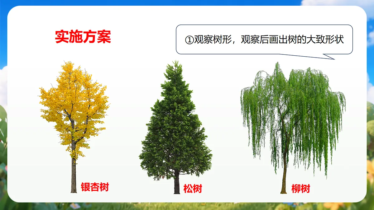 2.9 《给树做”名片“》(教学课件)青岛版(五四制)科学一上第7页