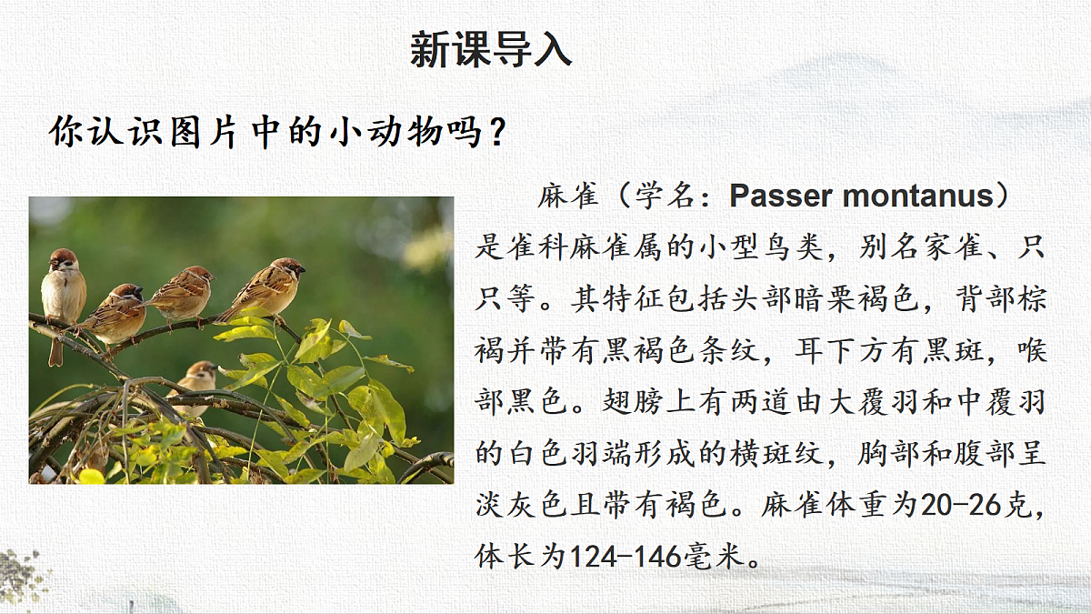 18722733第2页