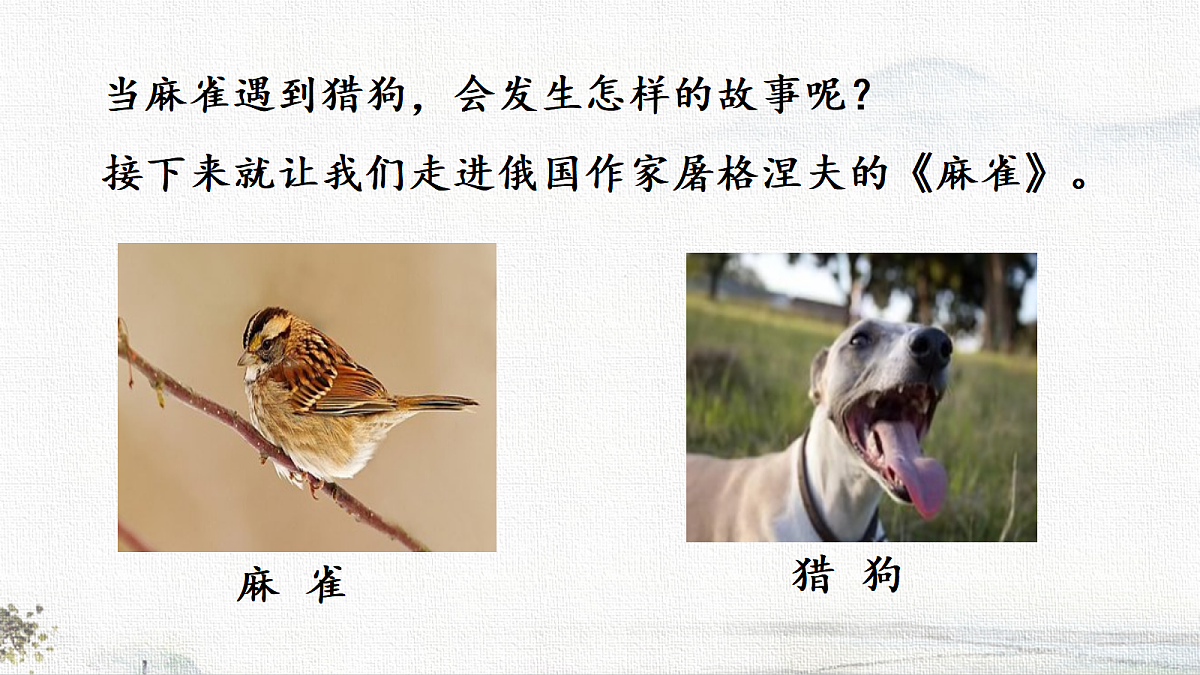 18722733第3页