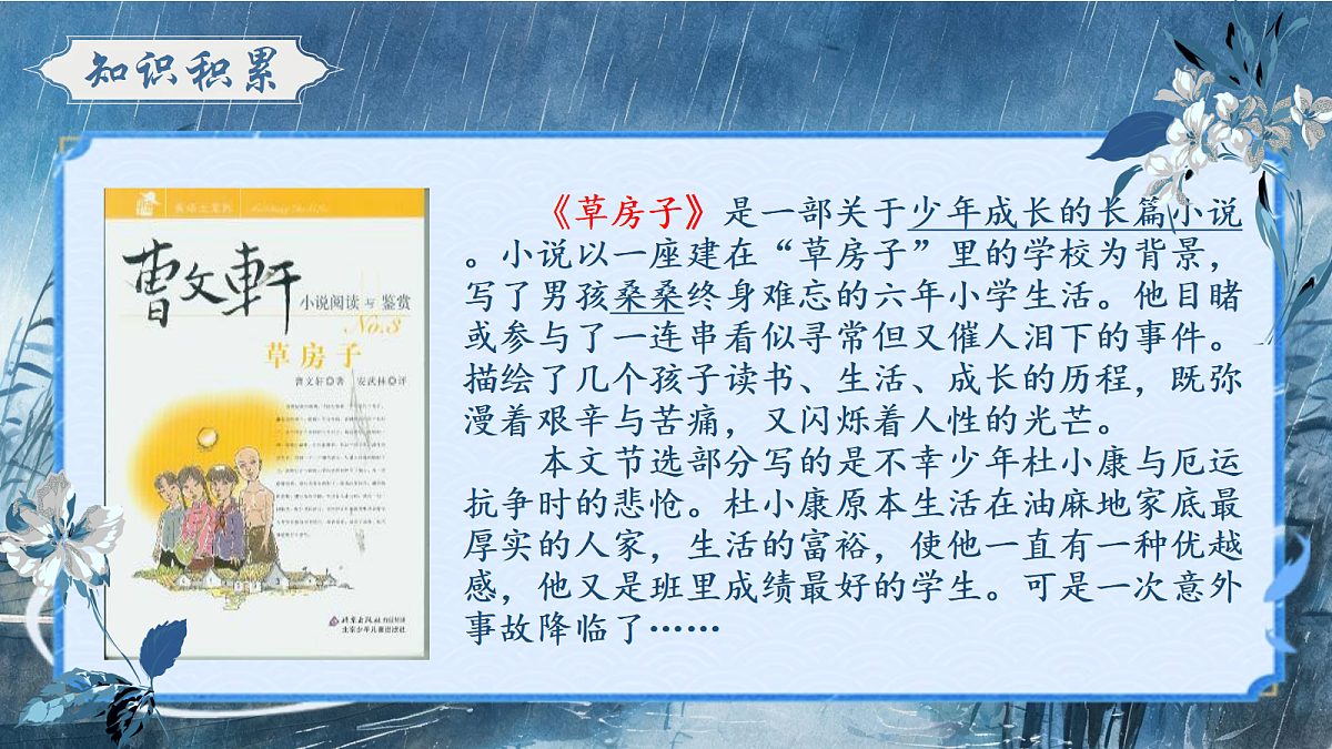 《17 孤独之旅》课件第5页