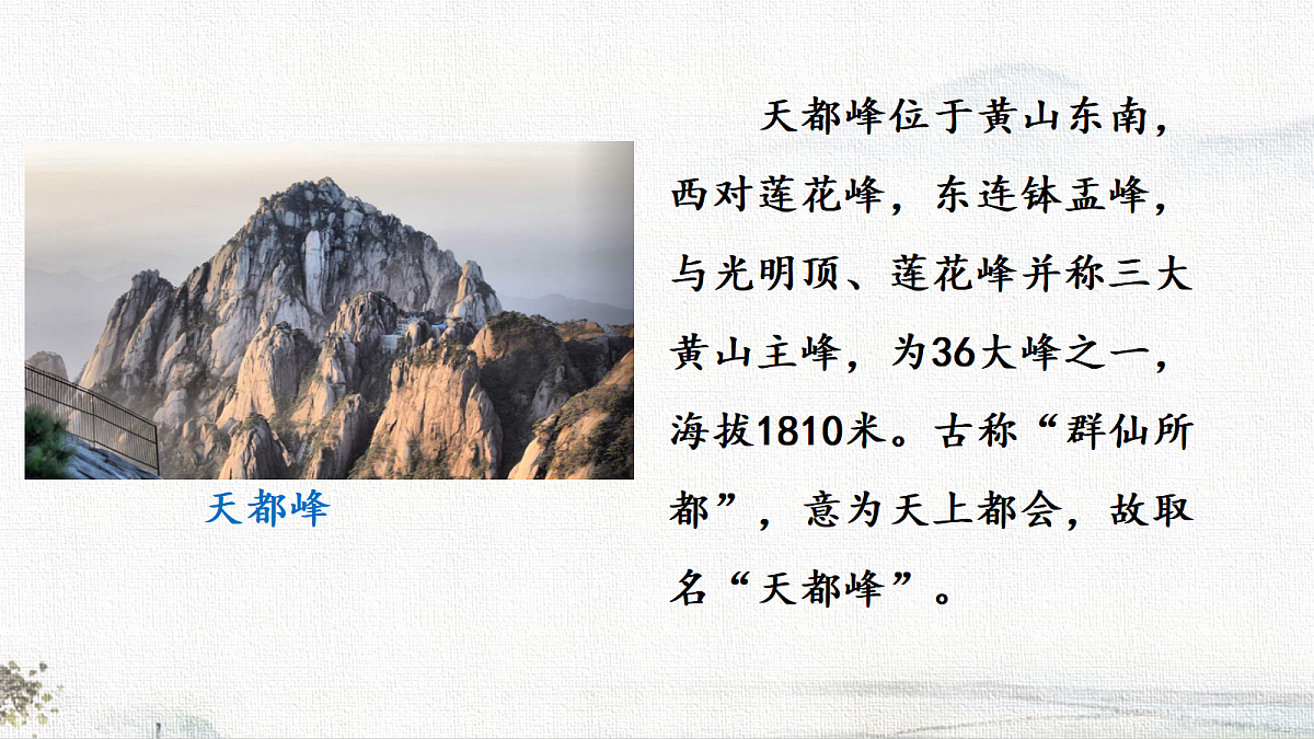 18723596第3页