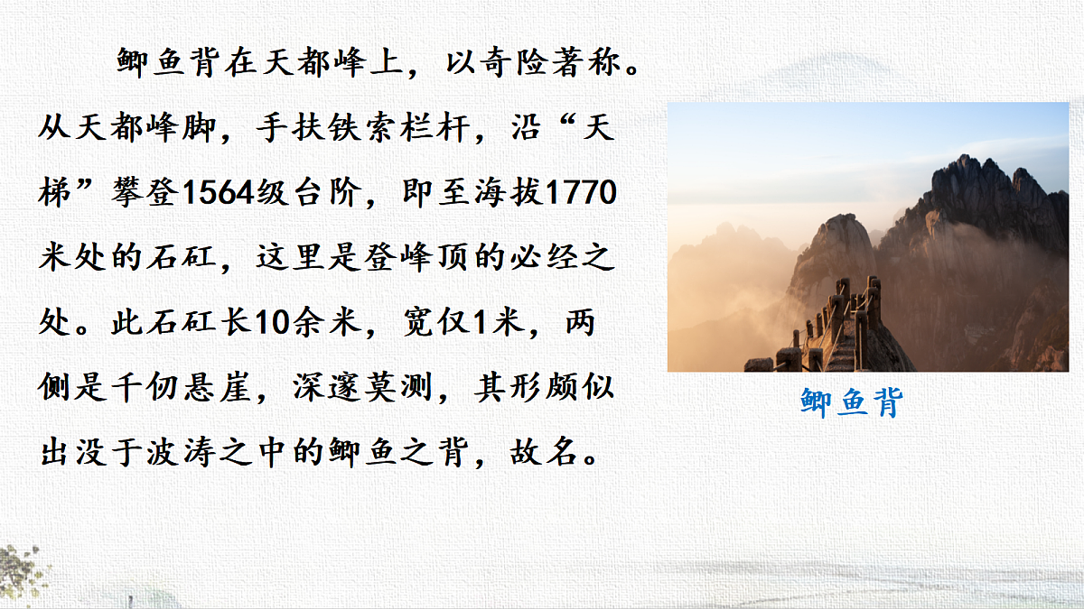18723596第4页