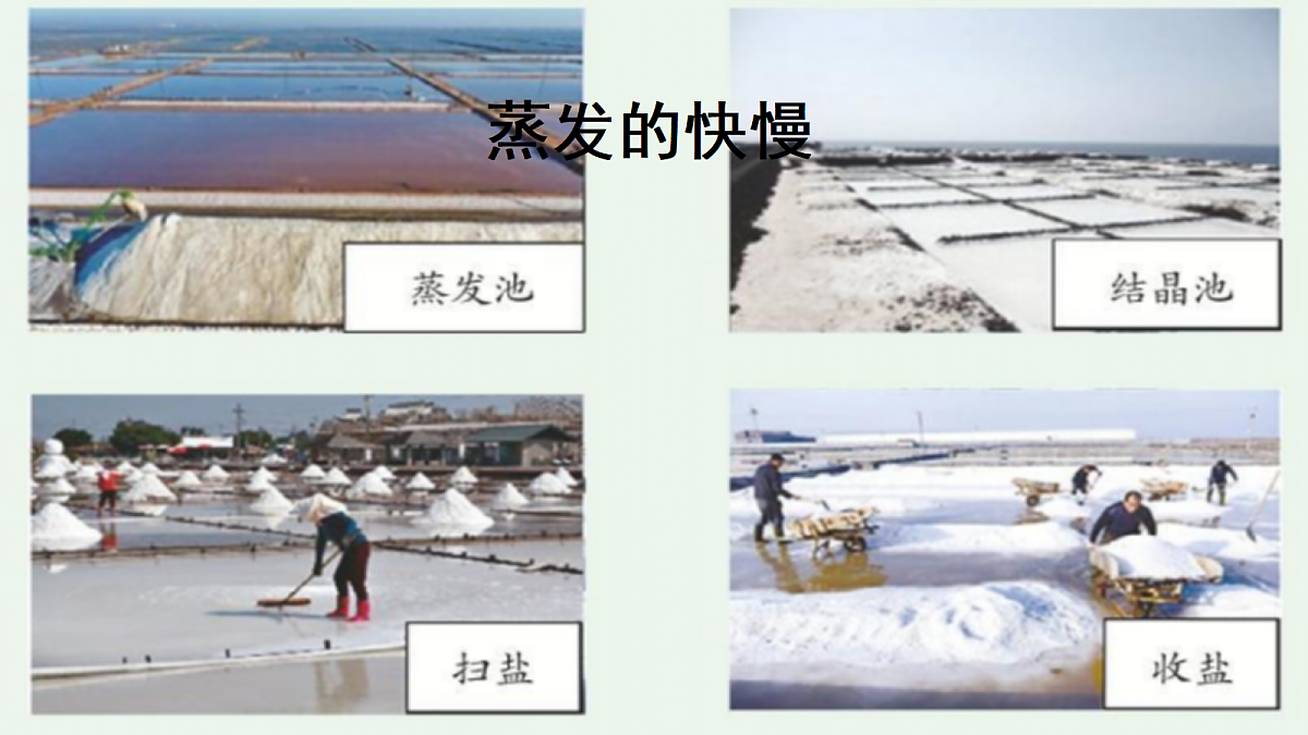 18725146第1页