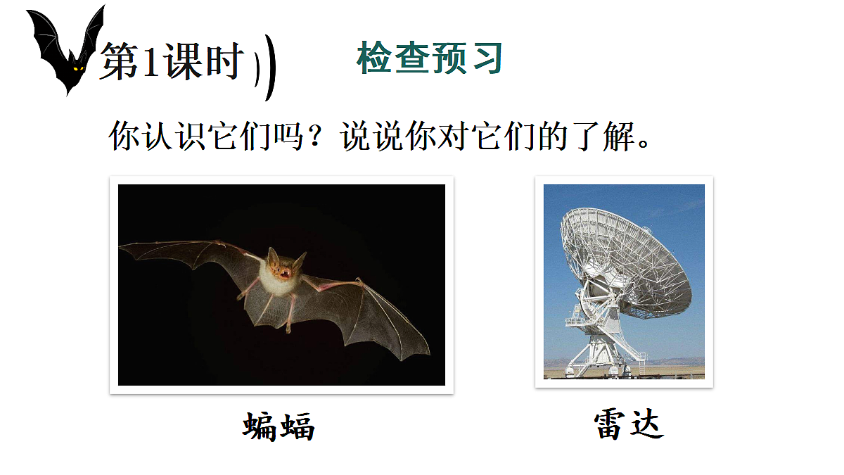5 夜间飞行的秘密【教案版】第1页