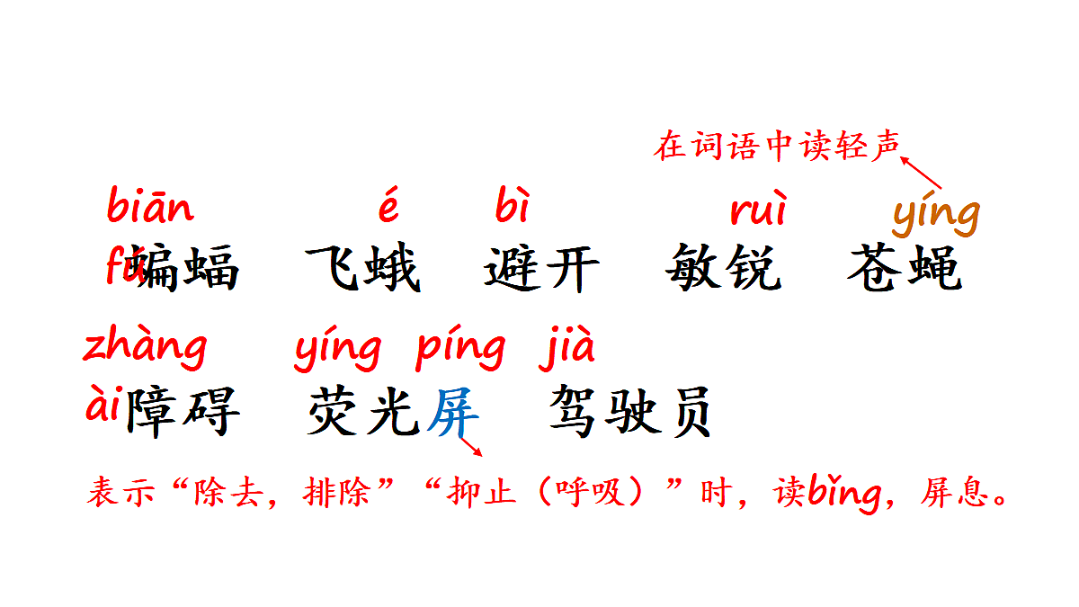 5 夜间飞行的秘密【教案版】第4页