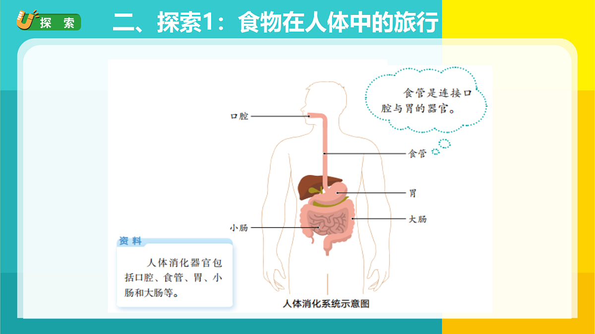 18728144第4页