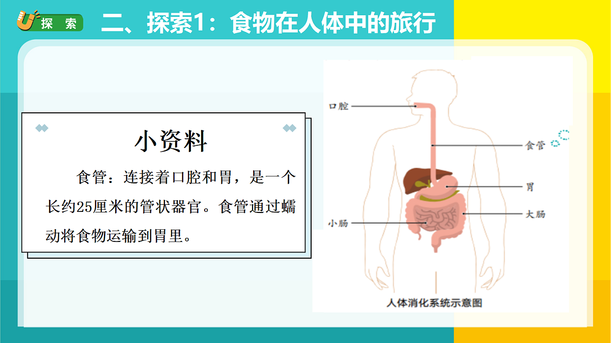 18728144第5页
