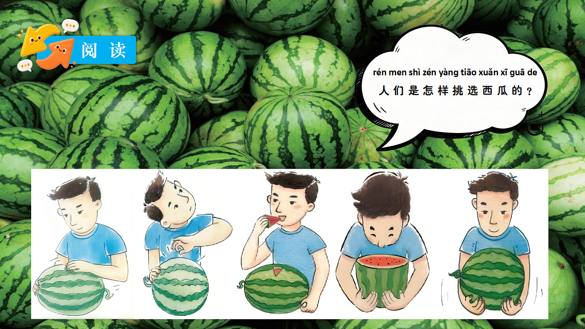 18729743第7页