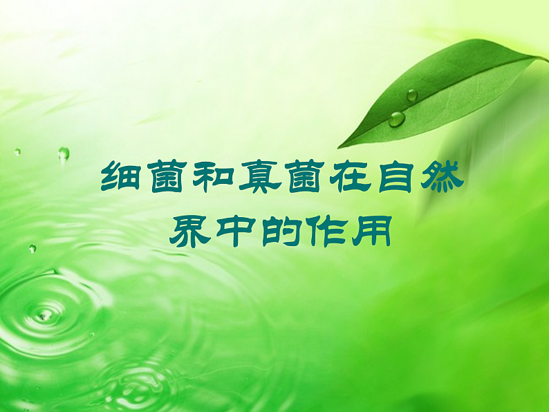 人教版八年级上册生物 5.4.4 细菌和真菌在自然界中的作用课件第1页
