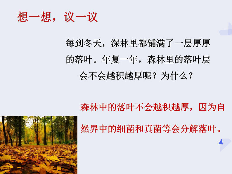 人教版八年级上册生物 5.4.4 细菌和真菌在自然界中的作用课件第3页