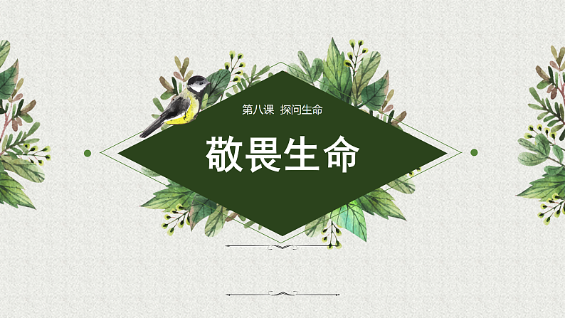 人教版道德与法治七年级上册 8.2 敬畏生命 课件第2页