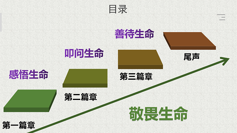 人教版道德与法治七年级上册 8.2 敬畏生命 课件第3页