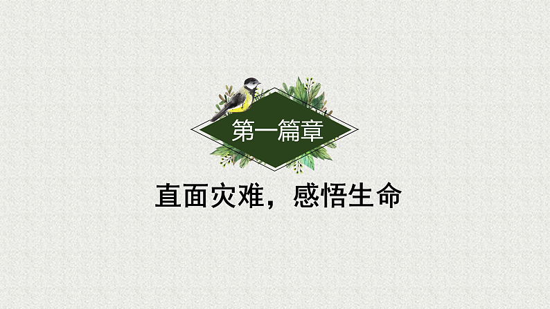 人教版道德与法治七年级上册 8.2 敬畏生命 课件第5页