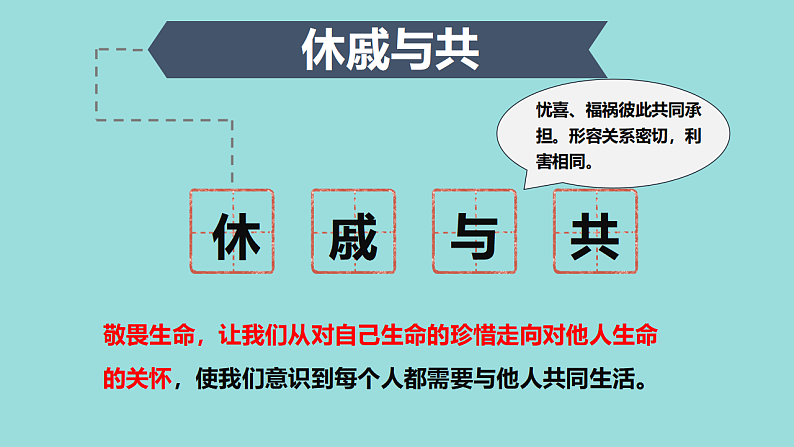 8.2 敬畏生命 课件+教案- 部编版道德与法治七年级上册08
