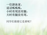 歌曲《青蛙合唱》课件PPT+素材