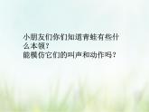 歌曲《青蛙合唱》课件PPT+素材
