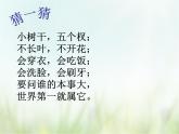 歌曲 《左手和右手》课件PPT+素材