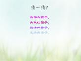 歌曲 《咏鹅》课件PPT+素材