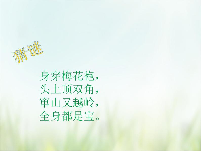 歌曲 《梅花鹿》课件PPT+素材02