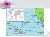 小学音乐花城版二年级上册欣赏 器乐曲《海鸟的家园》课件+视频