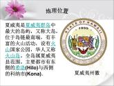 小学音乐花城版二年级上册欣赏 器乐曲《海鸟的家园》课件+视频