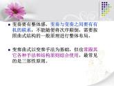 小学音乐花城版二年级上册欣赏 钢琴变奏曲《共产儿童团歌》课件+视频+音频