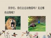 人教部编版四年级上册语文 《习作：小小的动物园》课件