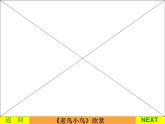 湘教版六年级上册音乐课件 《2老鸟，小鸟 》PPT课件