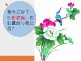 小学音乐花城版三年级上册歌曲 歌曲 《小斑鸠对我说》课件PPT