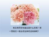 人音版小學(xué)四年級(jí)音樂(lè)上冊(cè)《采一束鮮花》優(yōu)秀課件