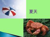 人音版音樂(lè)三年級(jí)上冊(cè) 6.3 四季童趣 課件+教案+素材