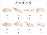 人音版一年级上册第七课《法国号》课件